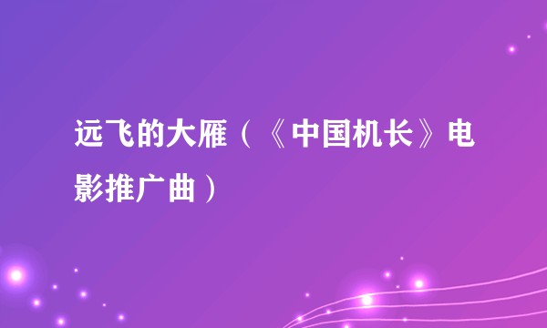 远飞的大雁（《中国机长》电影推广曲）