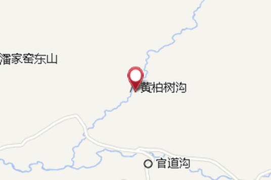 黄柏树