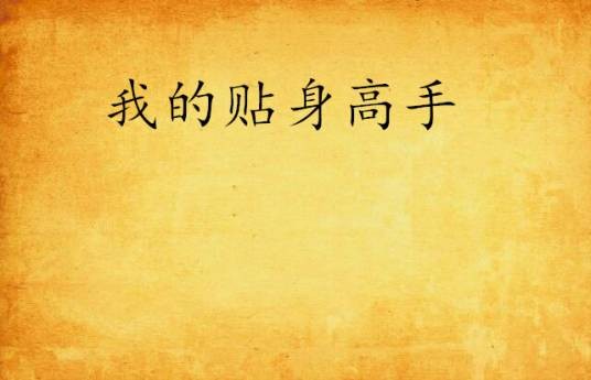 我的贴身高手（小说）