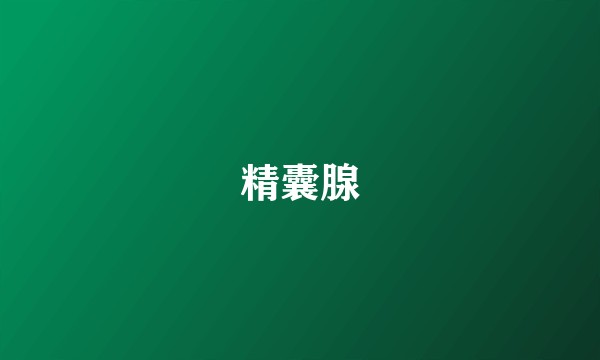 精囊腺
