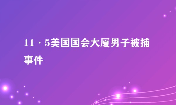 11·5美国国会大厦男子被捕事件