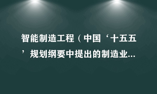 智能制造工程（中国‘十五五’规划纲要中提出的制造业智能化升级工程）