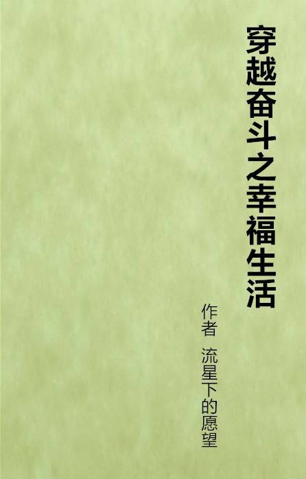 穿越奋斗之幸福生活