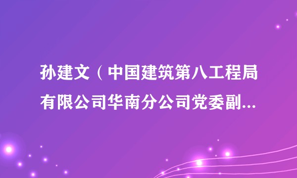 孙建文(中国建筑第八工程局有限公司华南分公司党委副书记、工会主席)