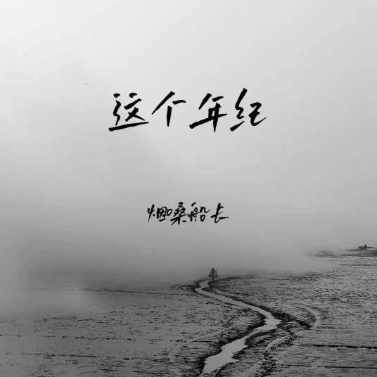 这个年纪（烟嗓船长演唱的歌曲）