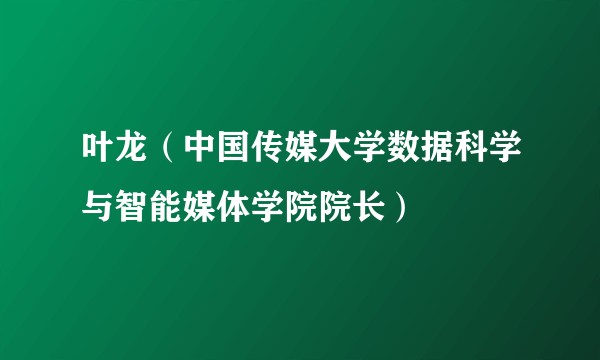 叶龙(中国传媒大学数据科学与智能媒体学院院长)