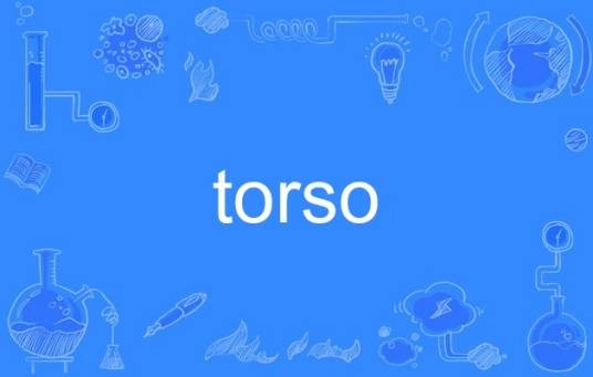 torso