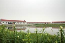 谷阳镇(江苏省镇江市丹徒区辖镇)
