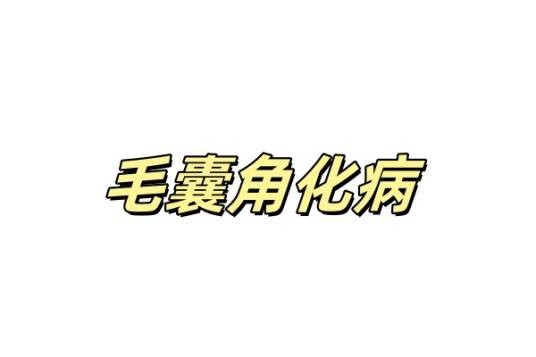 毛囊角化病