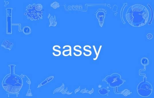 sassy（英语单词）