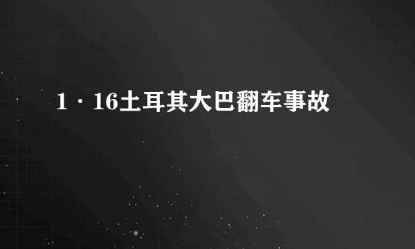 1·16土耳其大巴翻车事故