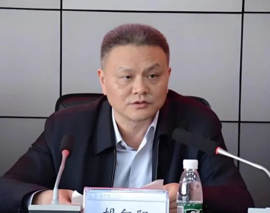 胡向阳（湖南省电力有限公司原一级协理）