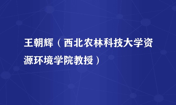 王朝辉（西北农林科技大学资源环境学院教授）