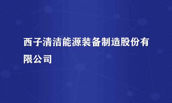西子清洁能源装备制造股份有限公司