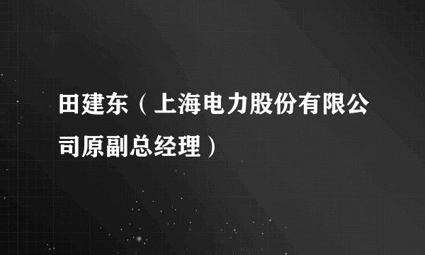 田建东（上海电力股份有限公司原副总经理）