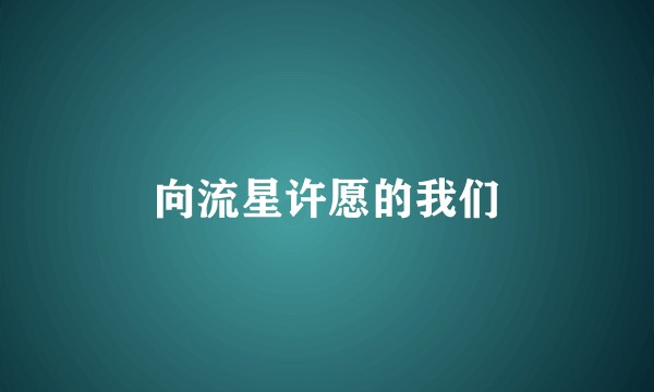 向流星许愿的我们