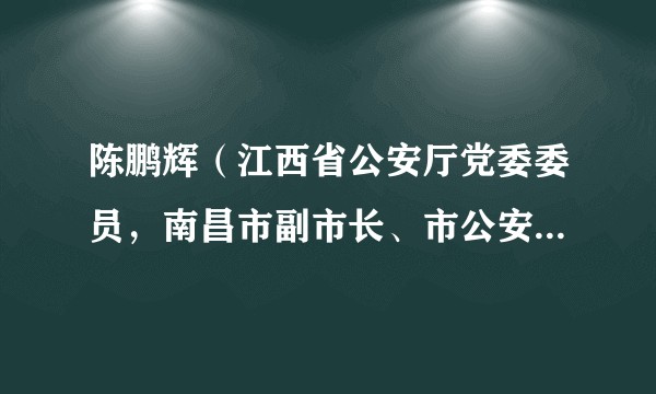 陈鹏辉（江西省公安厅党委委员，南昌市副市长、市公安局局长）