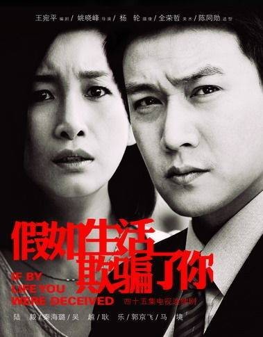 假如生活欺骗了你（2013年姚晓峰执导的婚姻题材电视剧）