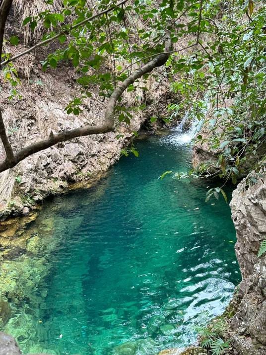 佛山市南海湾森林生态园景区