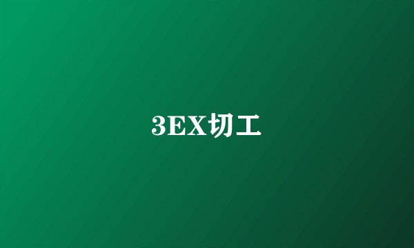 3EX切工