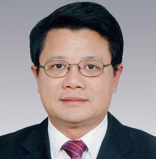 肖国安（湖南第十届省纪委委员）