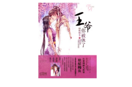 王爷你被休了