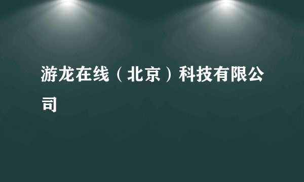 游龙在线（北京）科技有限公司