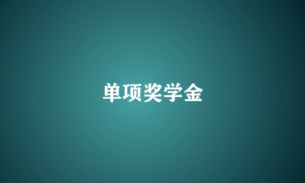 单项奖学金