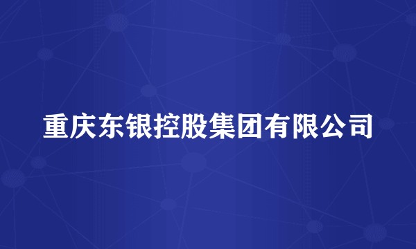 重庆东银控股集团有限公司