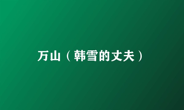 万山（韩雪的丈夫）