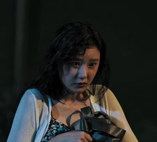 奚秀兰（电影《黑白有界》中的角色）