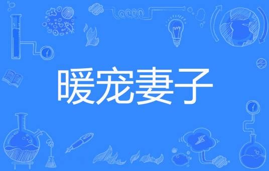 暖宠妻子