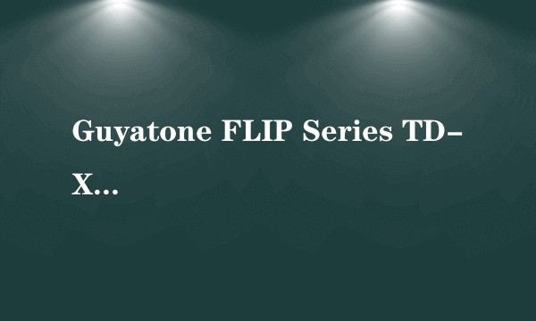 Guyatone FLIP Series TD-X Tube Echo