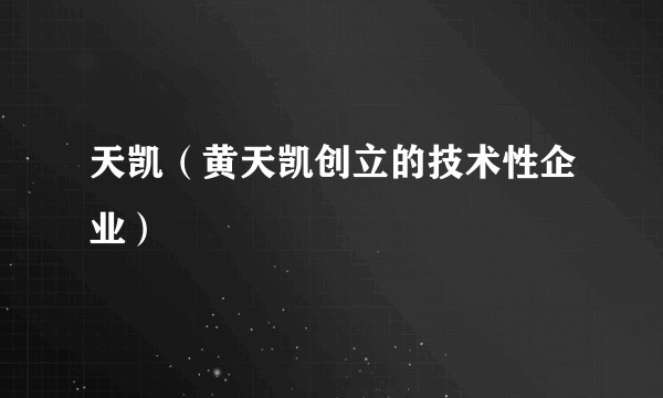 天凯（黄天凯创立的技术性企业）