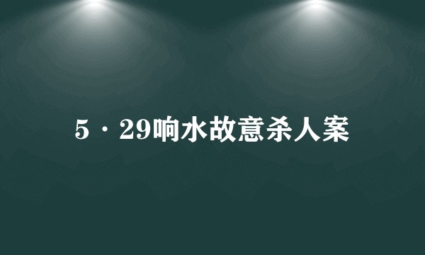 5·29响水故意杀人案