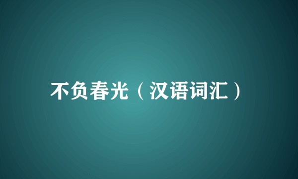 不负春光（汉语词汇）