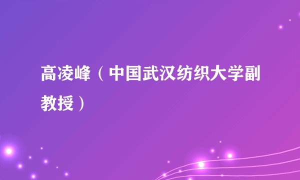 高凌峰（中国武汉纺织大学副教授）