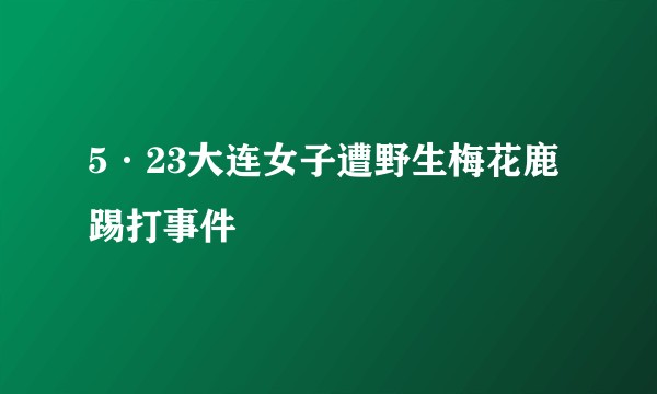 5·23大连女子遭野生梅花鹿踢打事件
