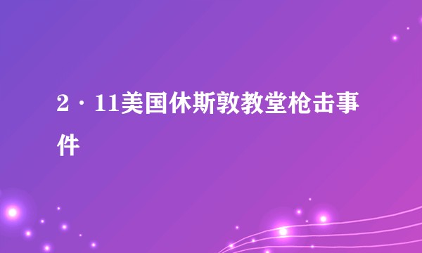 2·11美国休斯敦教堂枪击事件