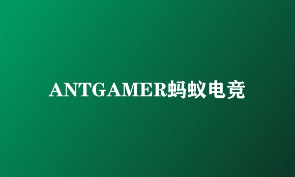 ANTGAMER蚂蚁电竞