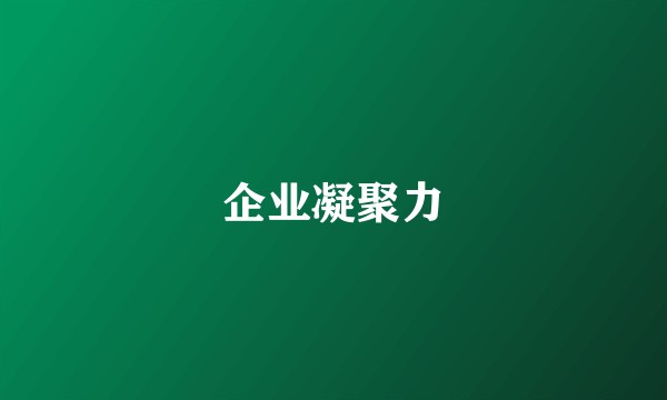 企业凝聚力