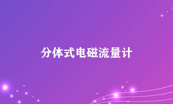 分体式电磁流量计
