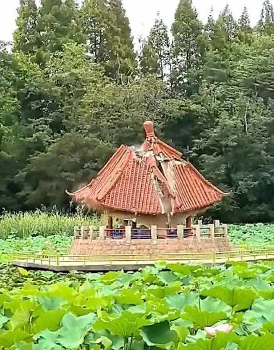 8·26青岛中山公园凉亭垮塌事故