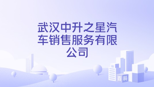 武汉中升之星汽车销售服务有限公司