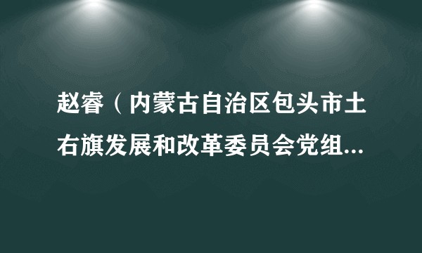 赵睿（内蒙古自治区包头市土右旗发展和改革委员会党组书记、主任、一级主任科员）