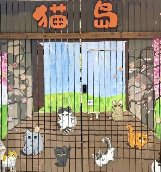 上海猫岛