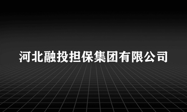 河北融投担保集团有限公司