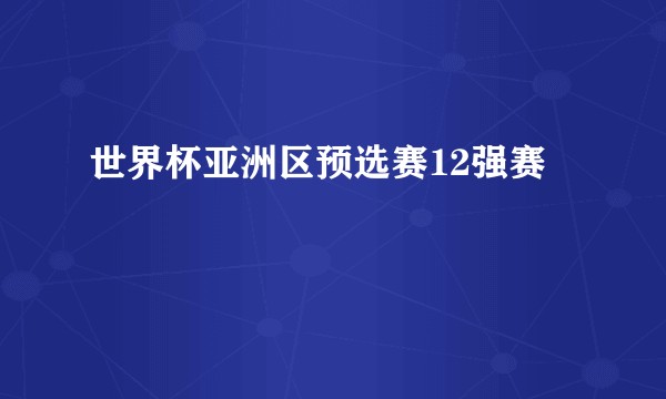 世界杯亚洲区预选赛12强赛