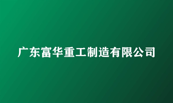 广东富华重工制造有限公司