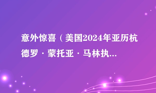 意外惊喜（美国2024年亚历杭德罗·蒙托亚·马林执导的电影）